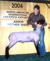 Wright Winner