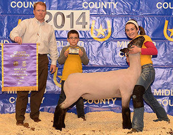 Wright Show Lambs
