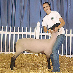 Wright Winner